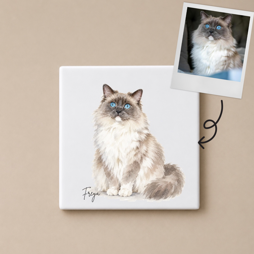 Personalised Cat Coaster