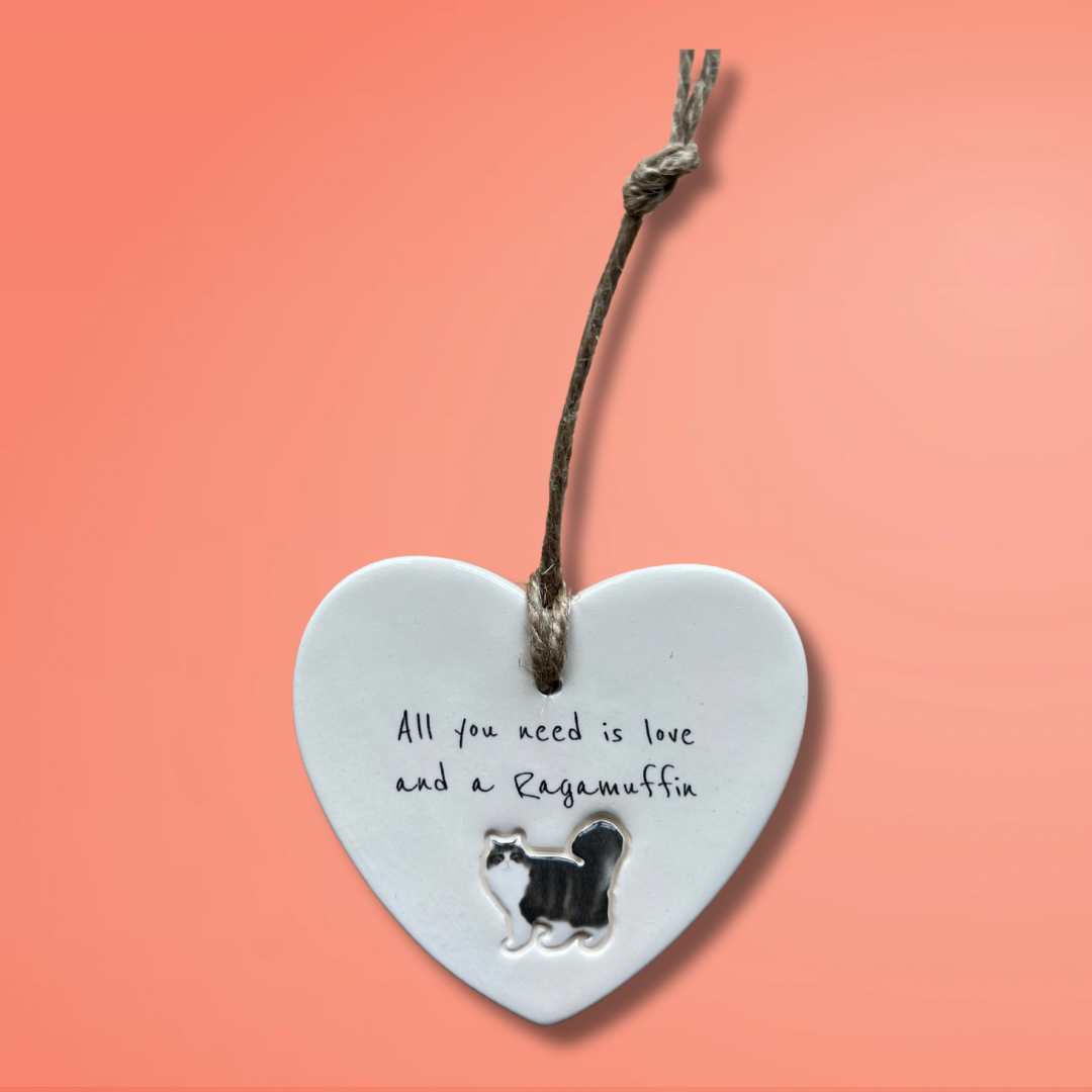 Ragamuffin Cat Ornament