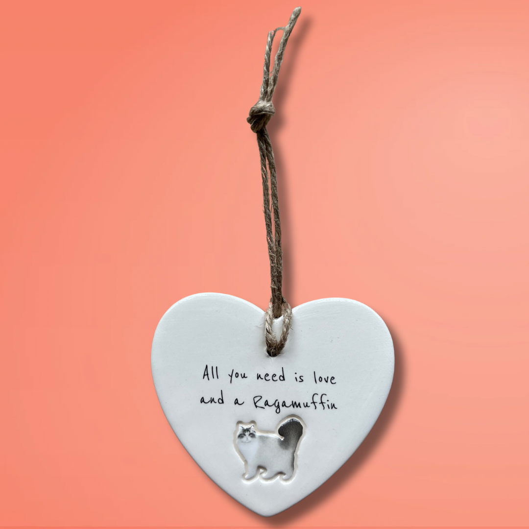 Ragamuffin Cat Ornament