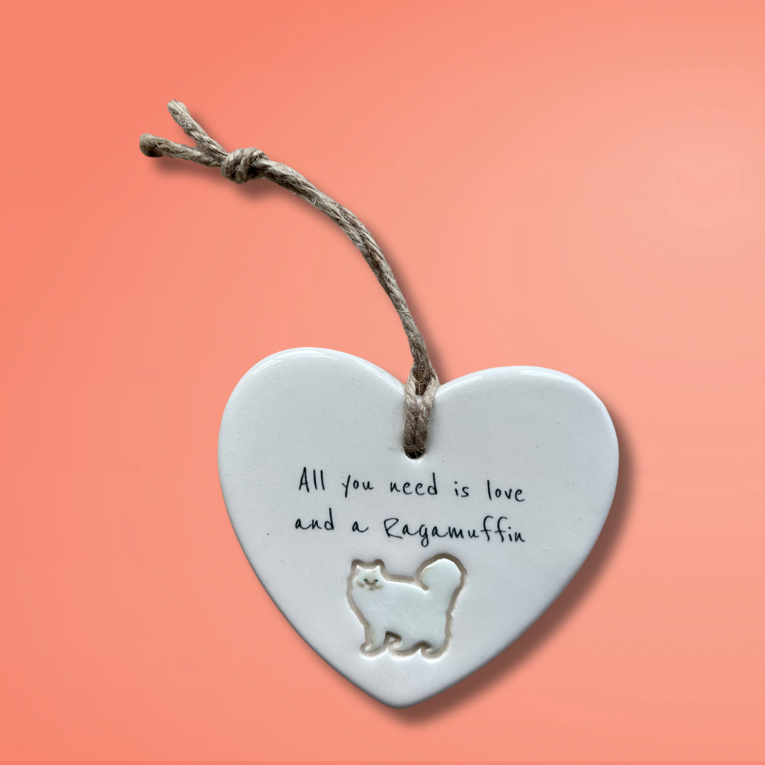 Ragamuffin Cat Ornament
