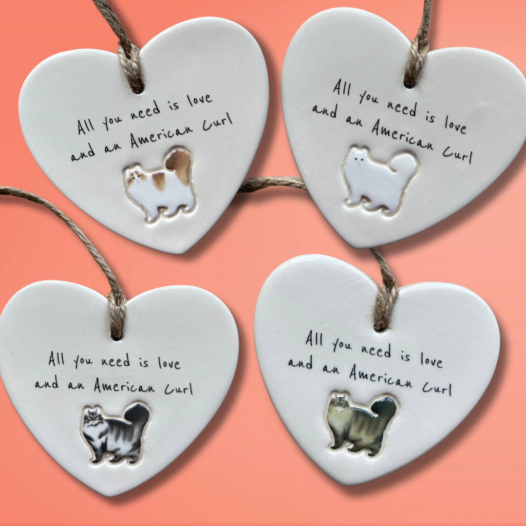 American Curl Cat Ornament