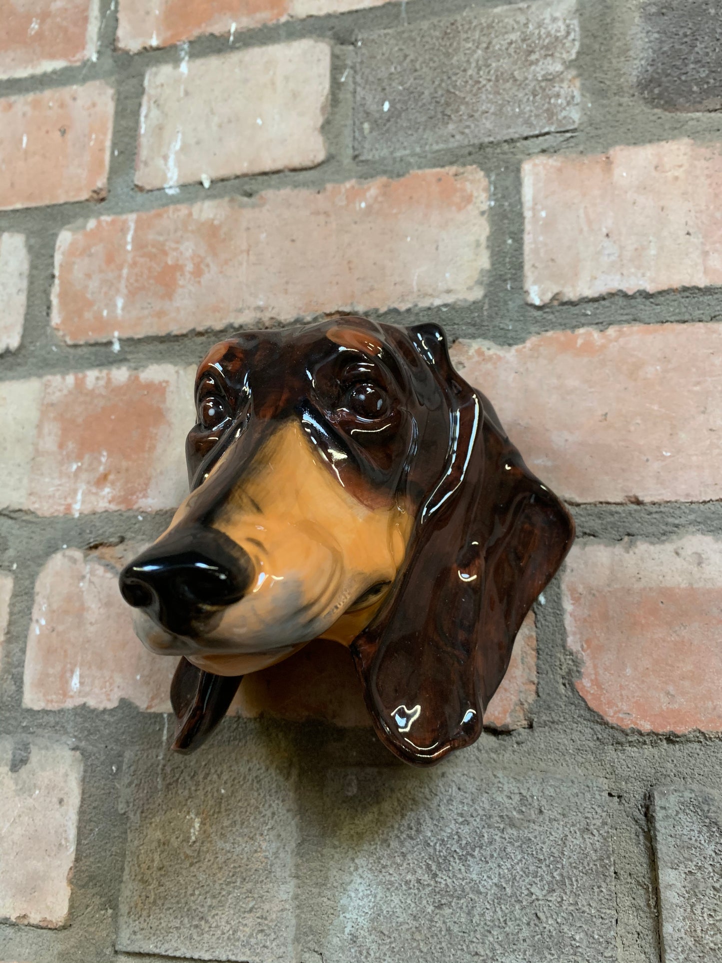 Dachshund head wall sconce