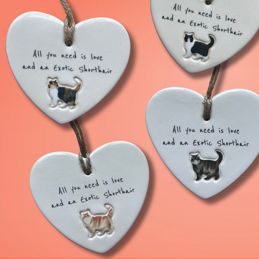 Exotic Shorthair Cat Ornament