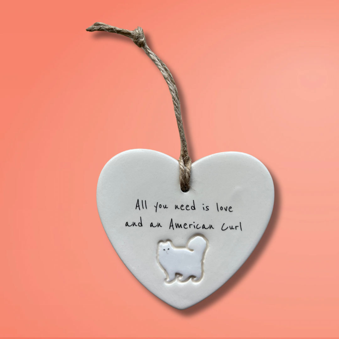 American Curl Cat Ornament