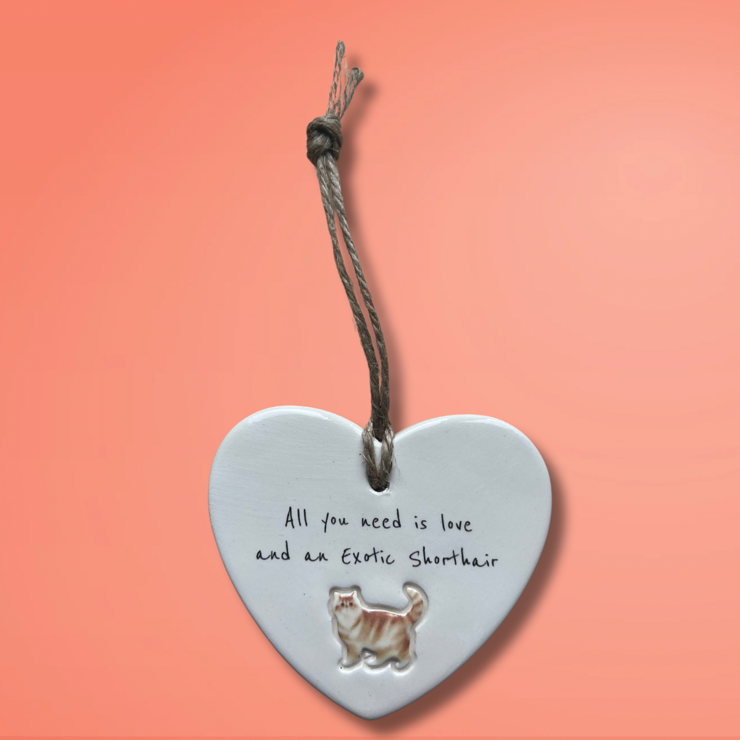 Exotic Shorthair Cat Ornament