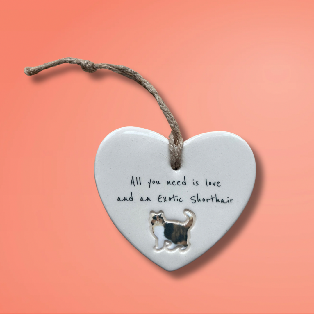 Exotic Shorthair Cat Ornament
