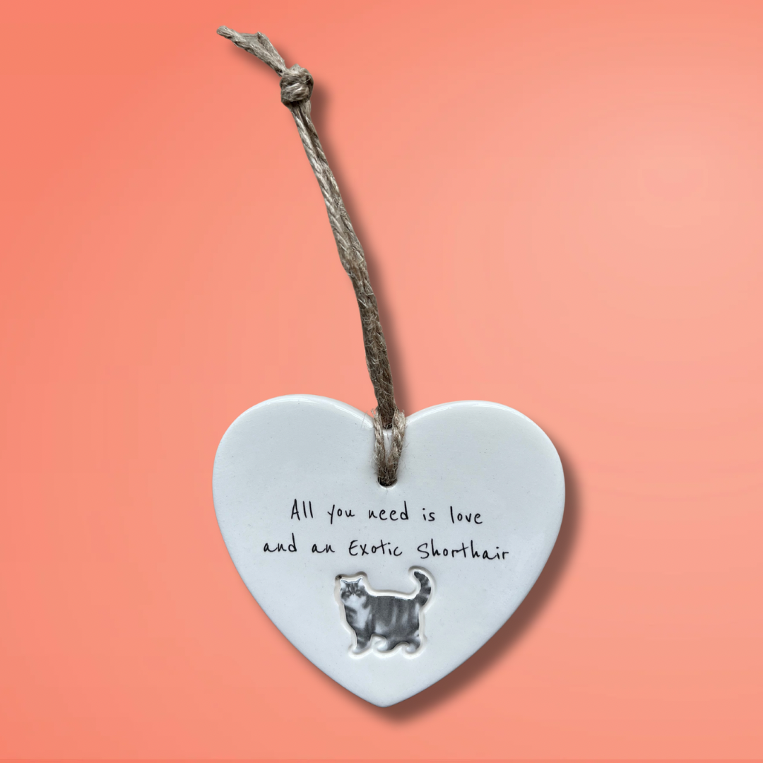 Exotic Shorthair Cat Ornament