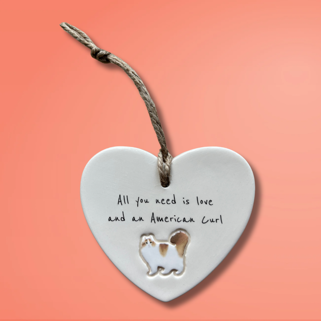 American Curl Cat Ornament