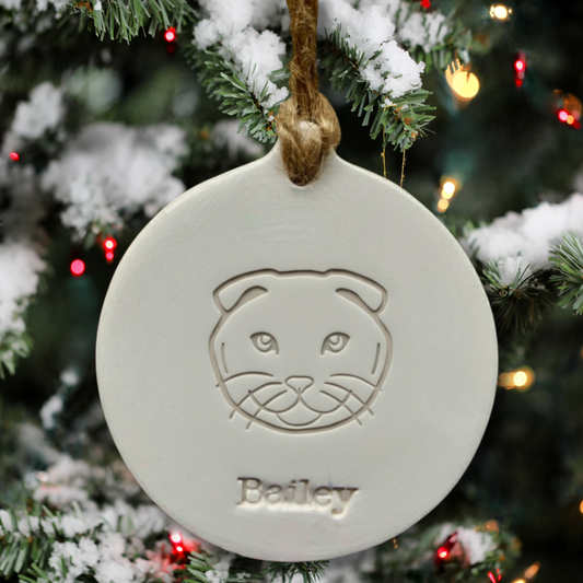 Personalised Scottish Fold Cat Bauble