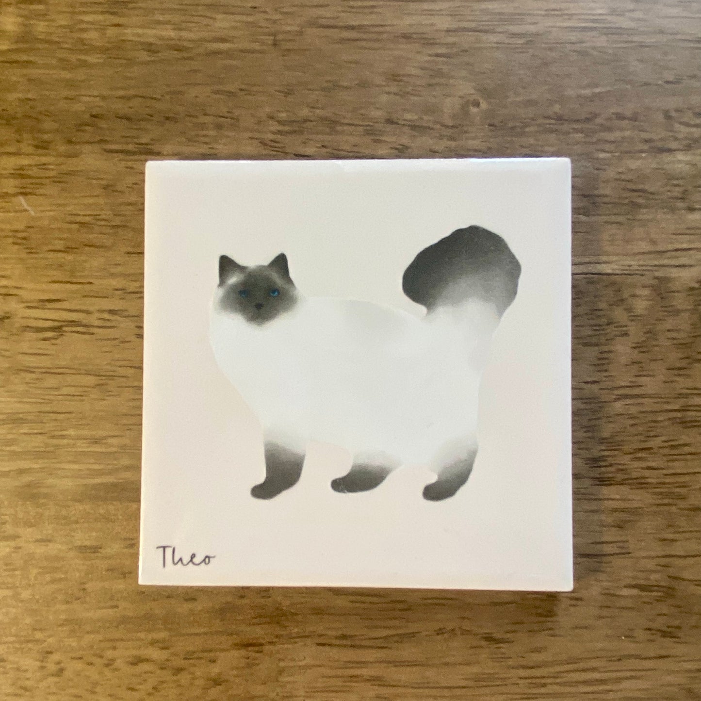 Personalised Cat coaster