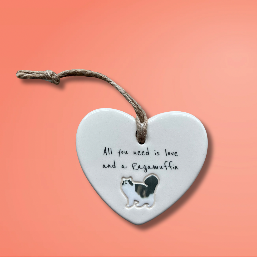 Ragamuffin Cat Ornament