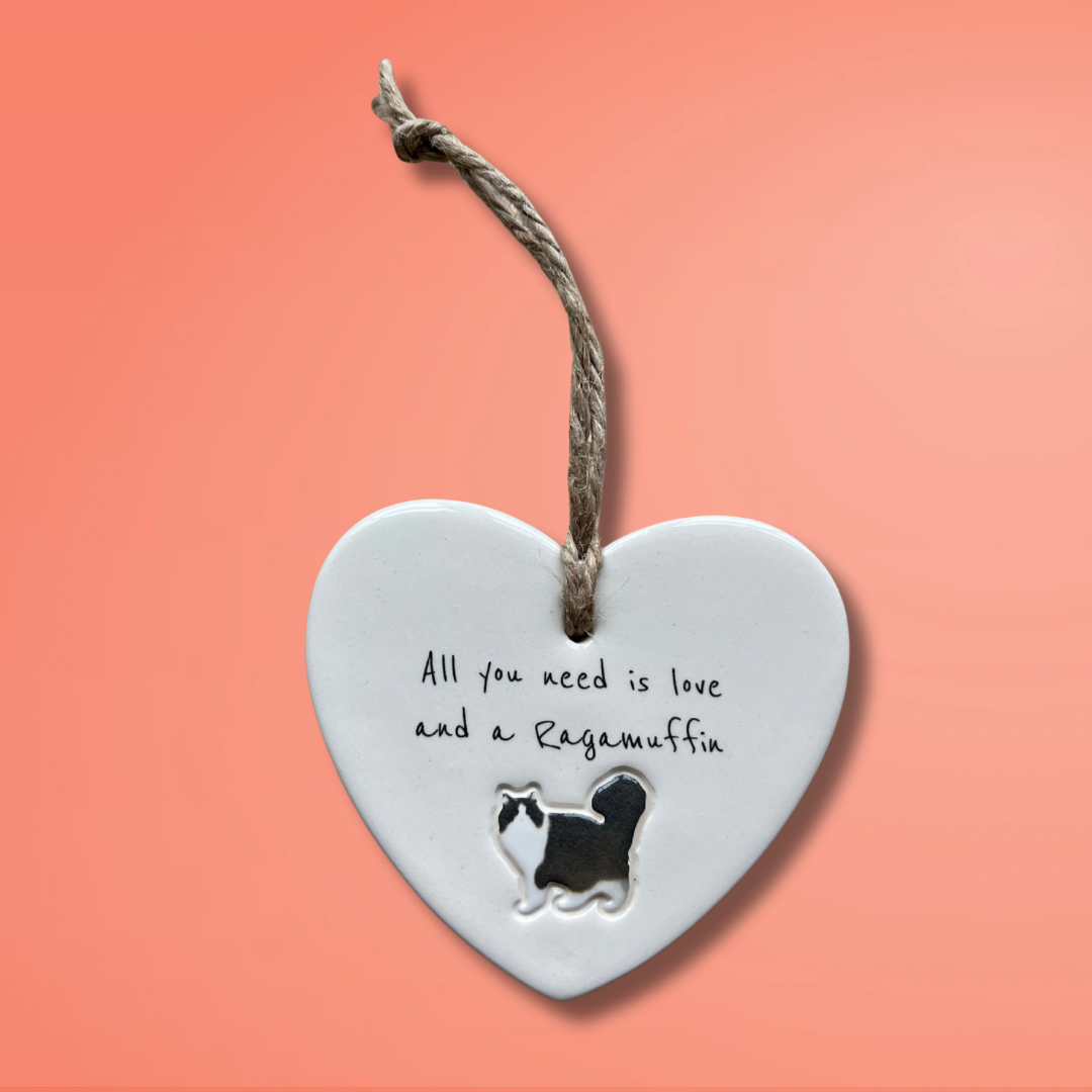 Ragamuffin Cat Ornament