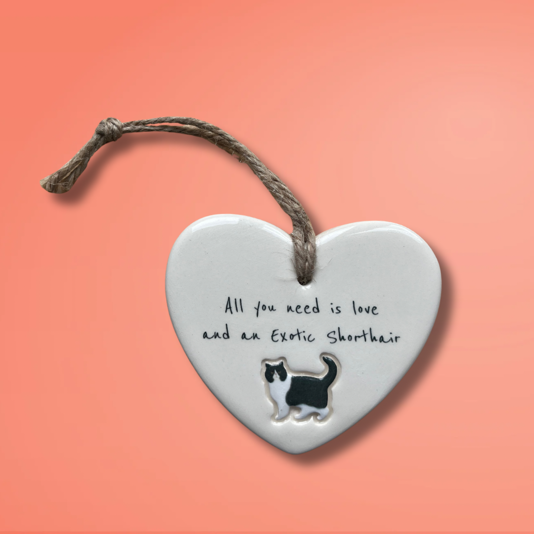 Exotic Shorthair Cat Ornament