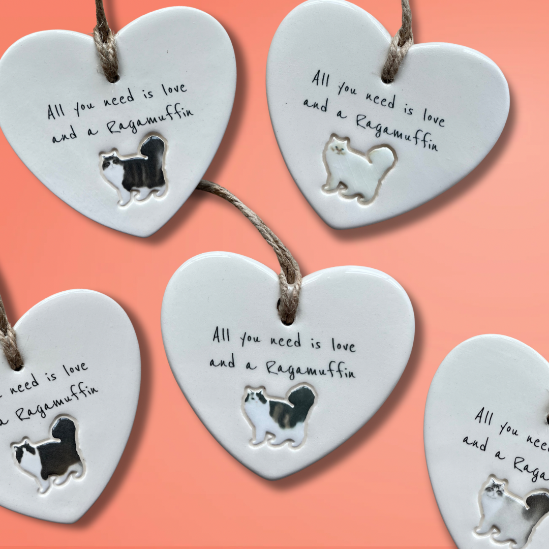 Ragamuffin Cat Ornament