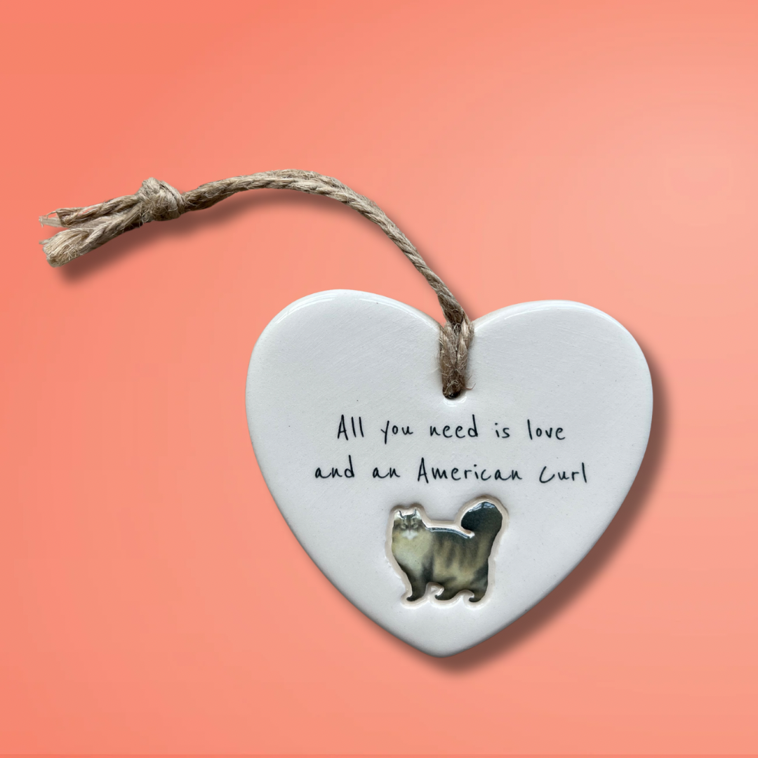 American Curl Cat Ornament