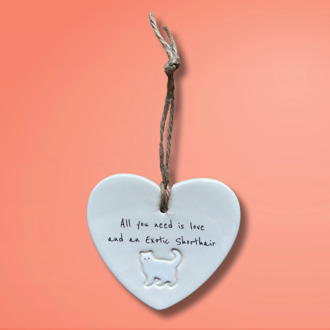 Exotic Shorthair Cat Ornament