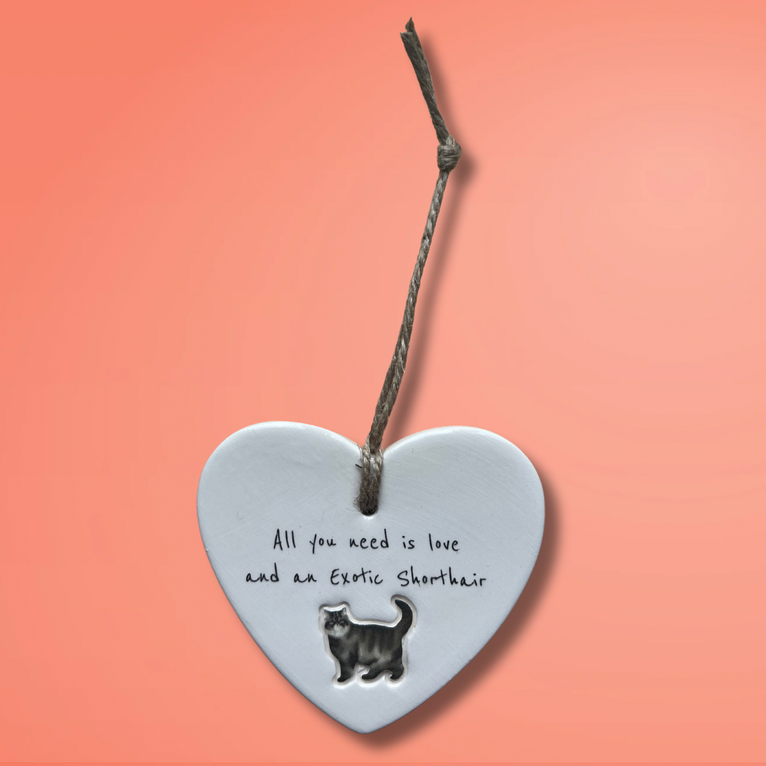 Exotic Shorthair Cat Ornament