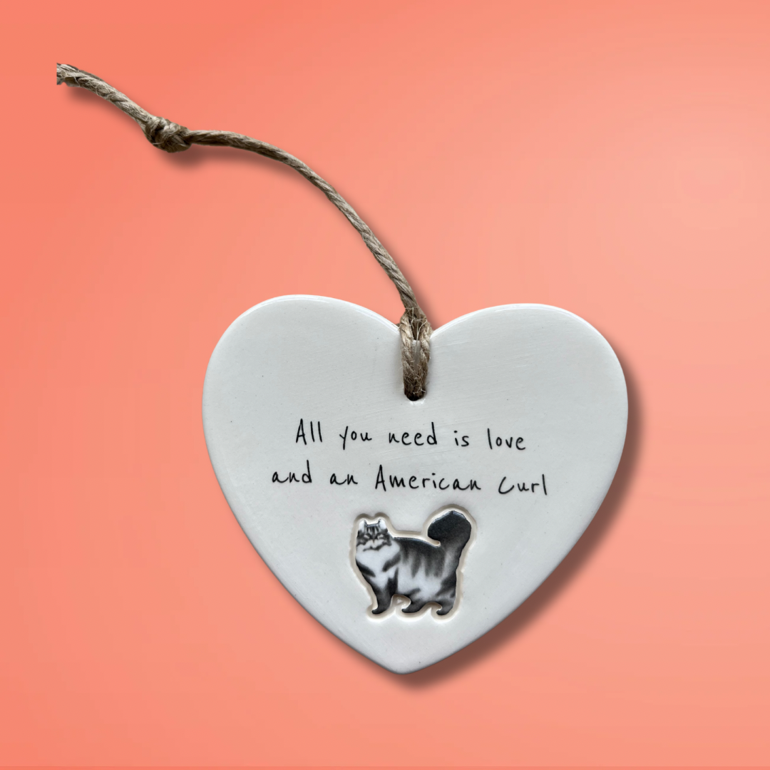 American Curl Cat Ornament