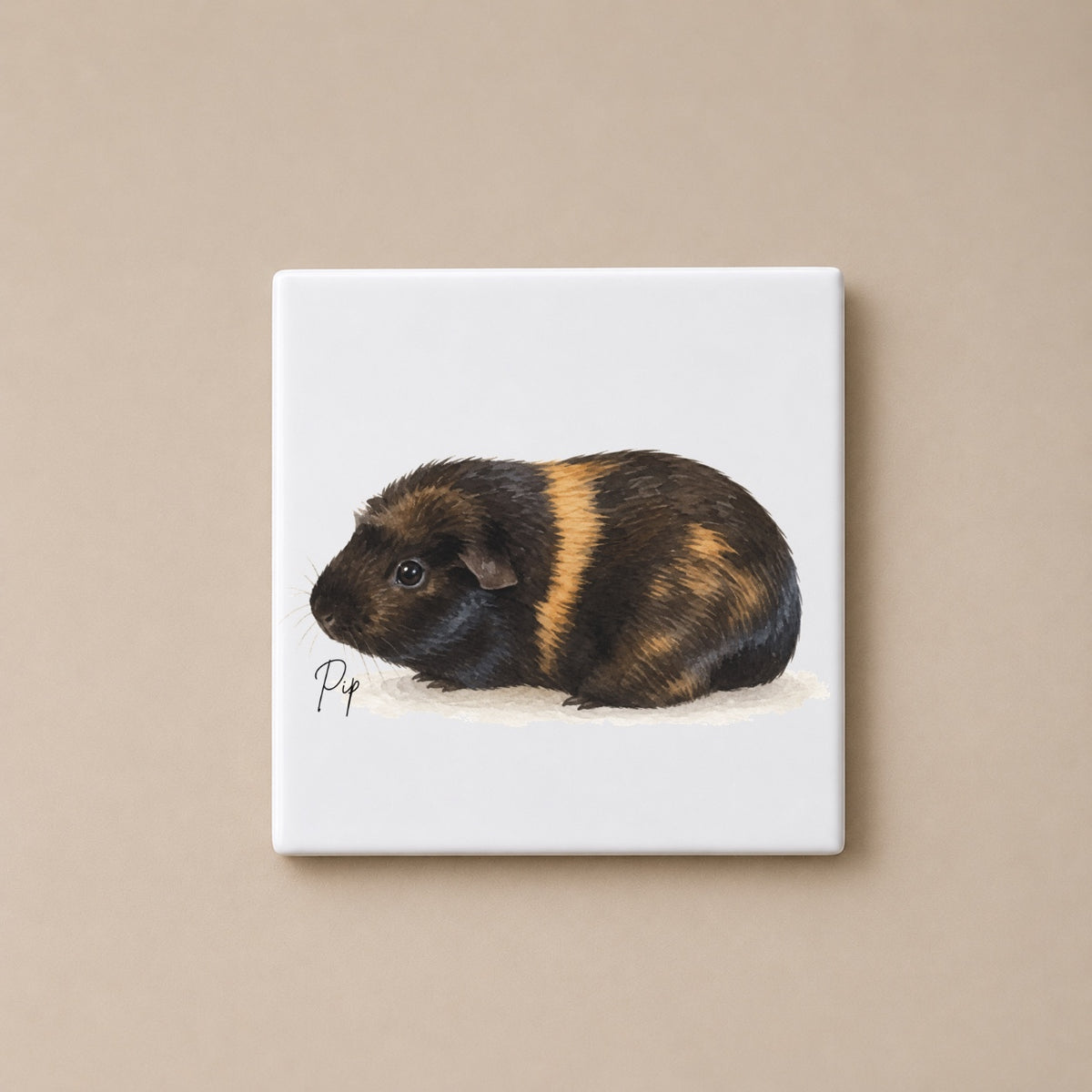 Personalised Guinea Pig Coaster