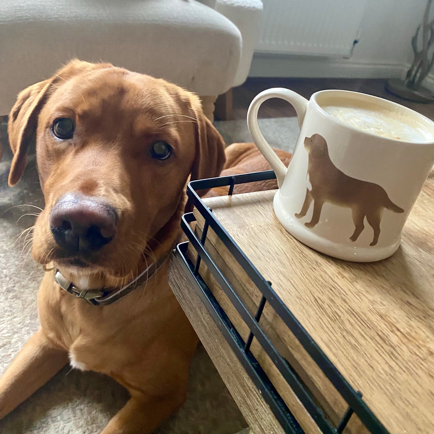 Personalised Dog mug