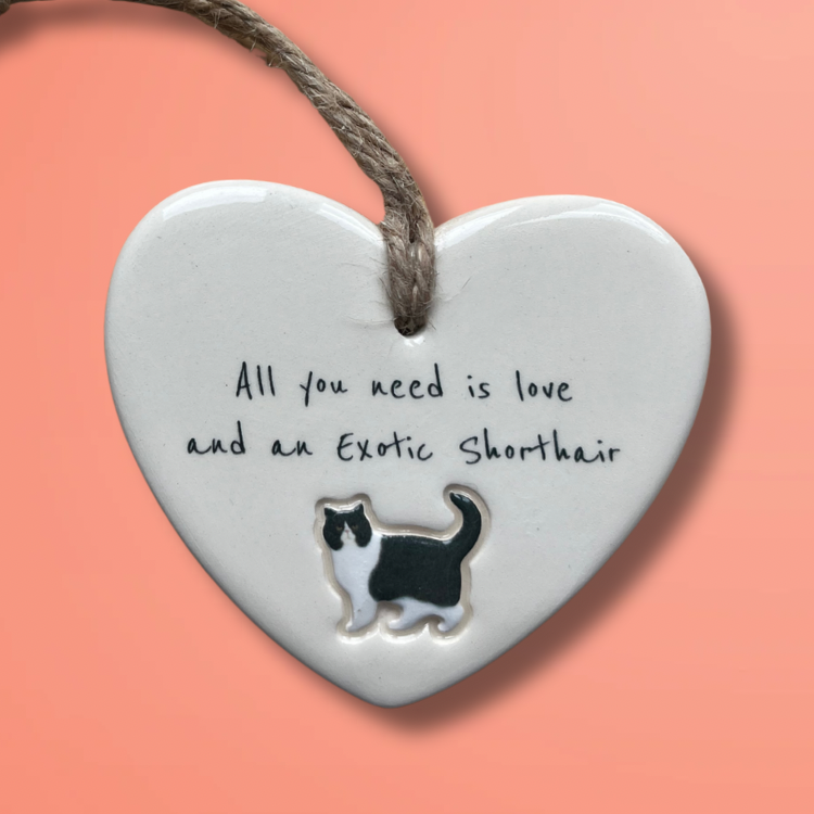 Handmade Exotic Shorthair Cat Ornament
