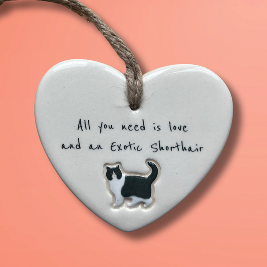 Handmade Exotic Shorthair Cat Ornament