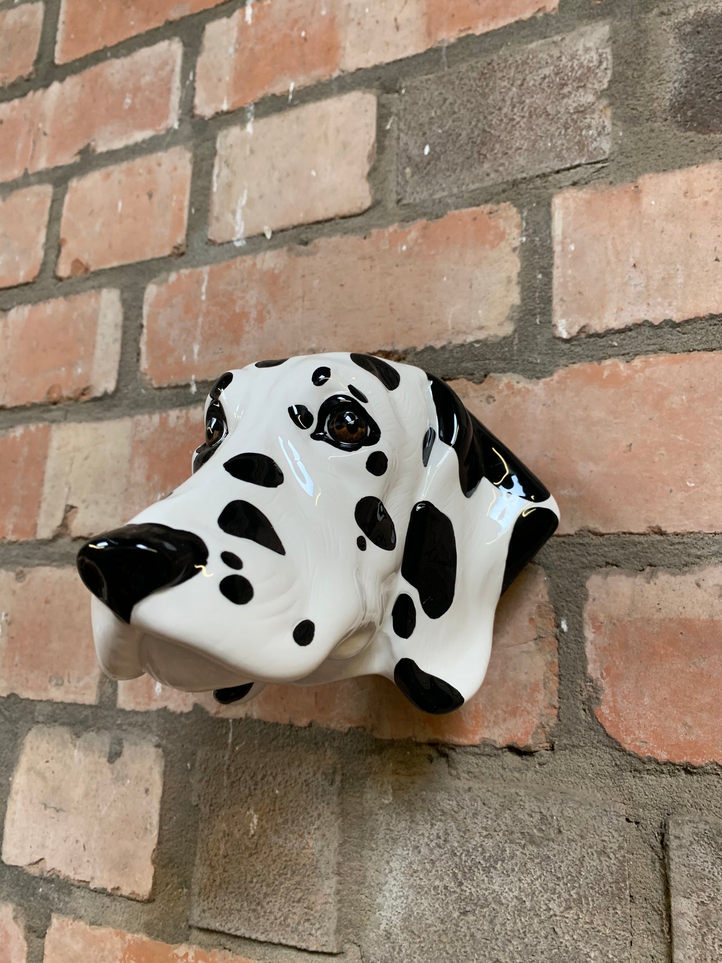 Dalmatian head wall sconce