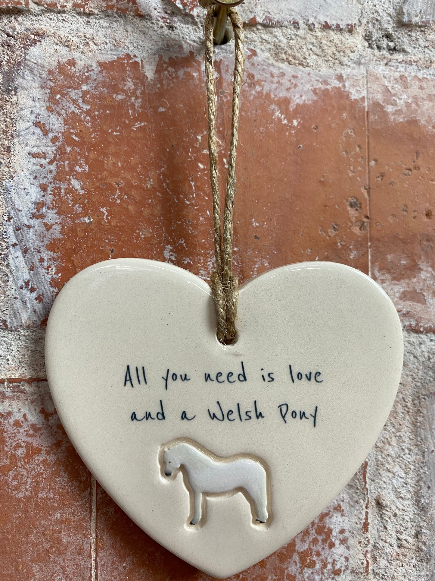 Welsh pony heart