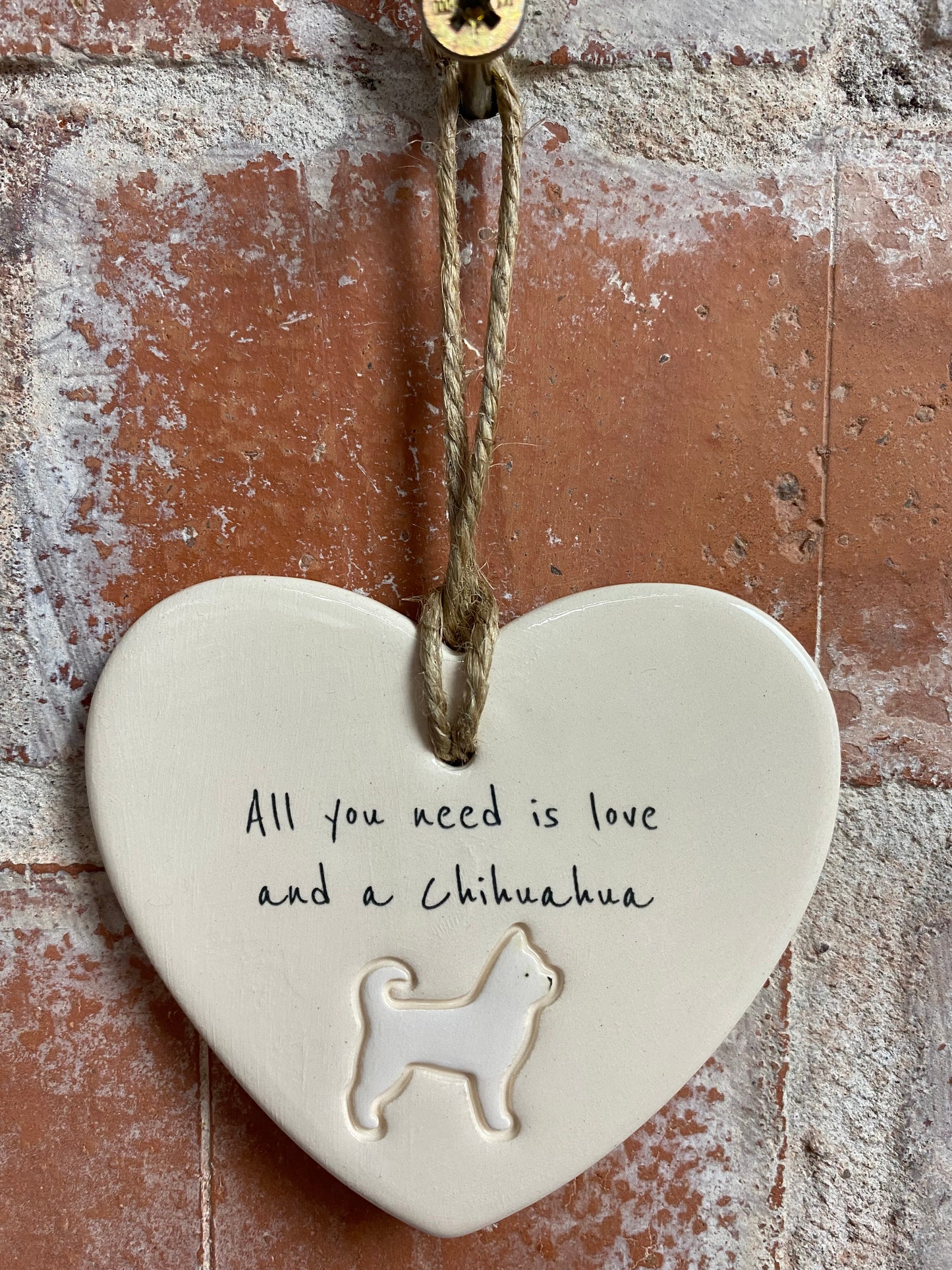 Chihuahua heart