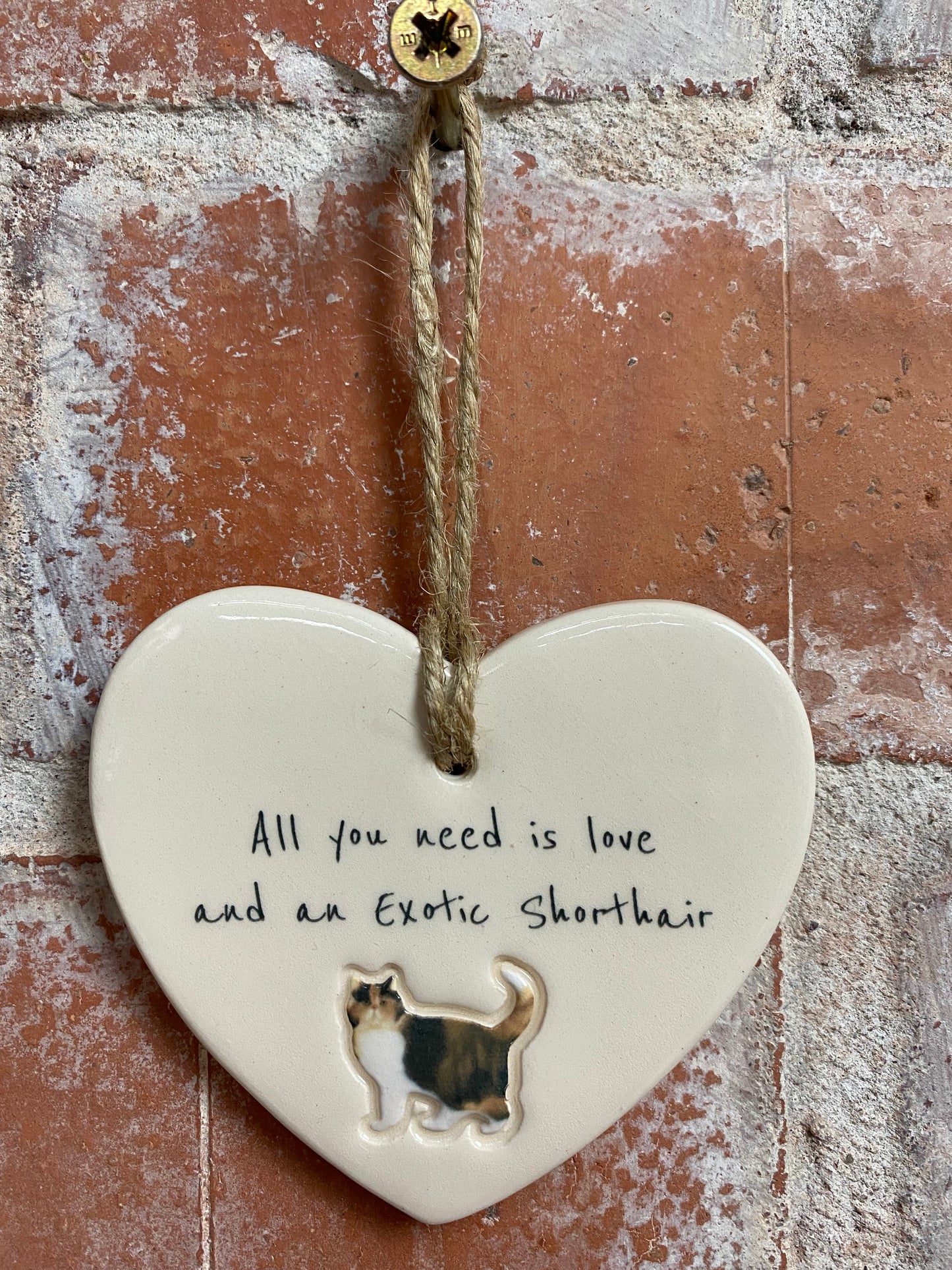 Exotic Shorthair Cat ceramic heart
