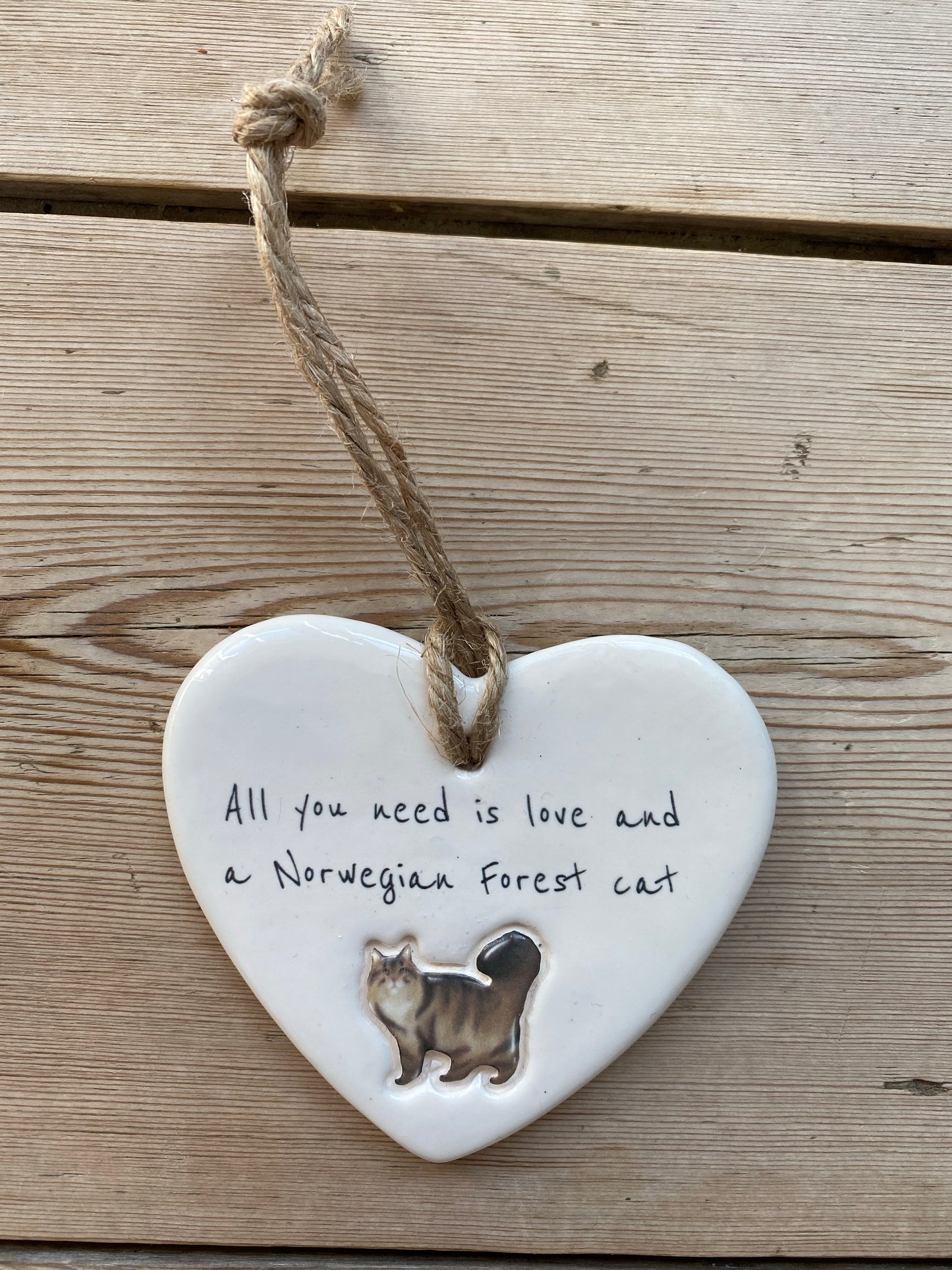 Norwegian Forest cat heart