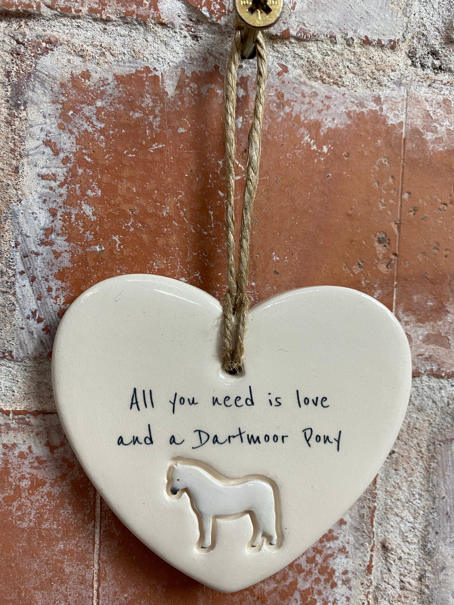 Dartmoor pony heart