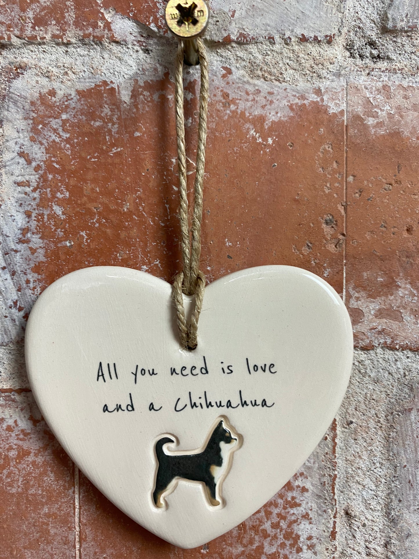 Chihuahua heart