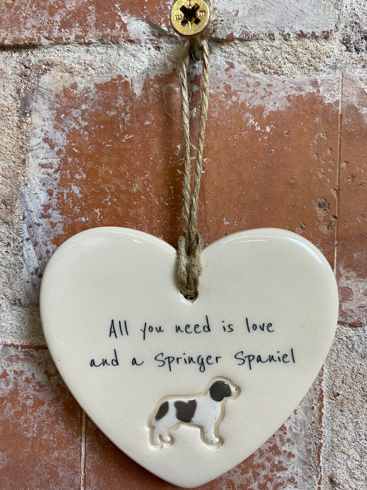 Springer Spaniel heart